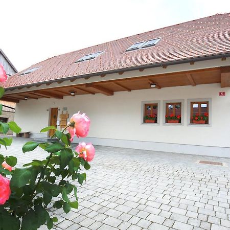 Apartments Vrdjan ツェルクニツァ エクステリア 写真